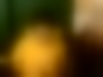 _fayola_