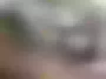 11111213