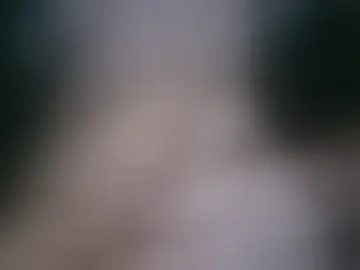 234720988