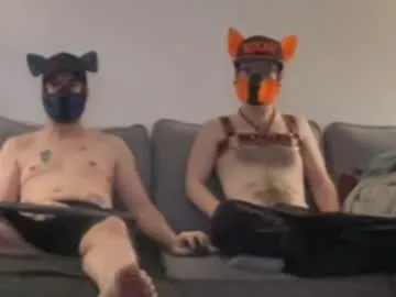 2pupsinheat