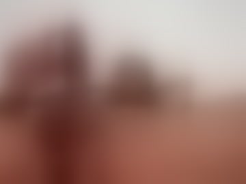 alexitomelendez730