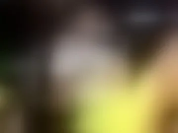 allan_arod