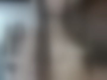 ally__19