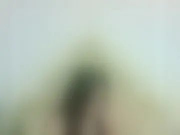 ana_bs