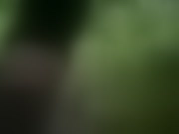analalala2
