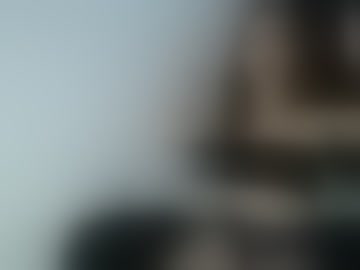 angeliscollins18