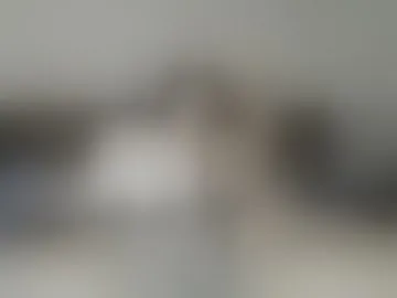 anotherfox11