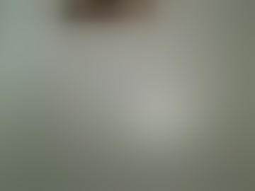 apple_bitch