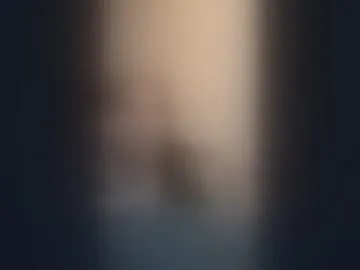 ardiskamps