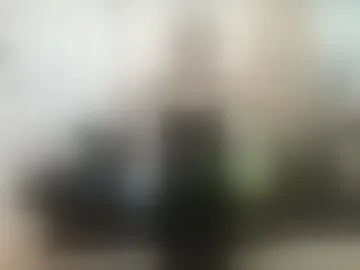 ariaarina