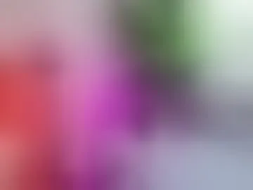 ariabishop