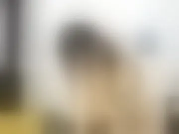 ariannawil