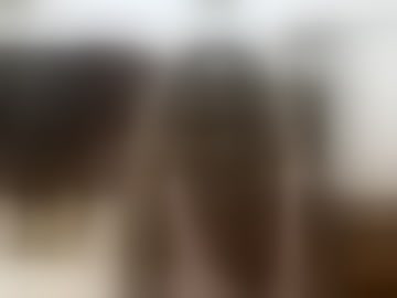 b_sn