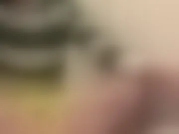 bareiy18