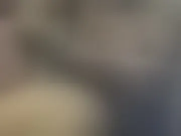 bartolofive