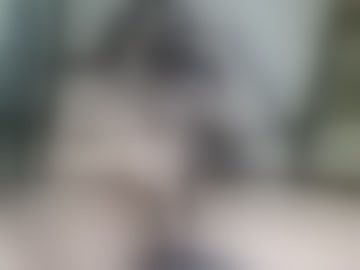 bearded_fellow