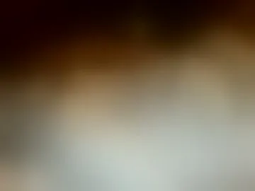 bearlylost