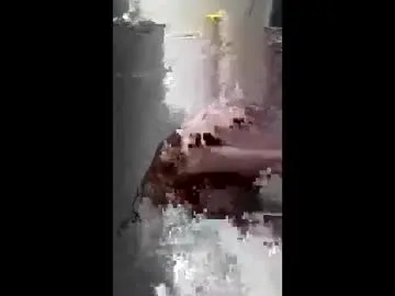 benjilovesbeingrimmed