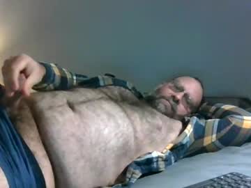 bigbearfromwilderness