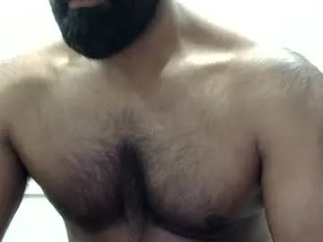 bighardsteel