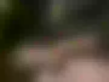 bimale4hotphuk