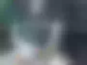 bios1980