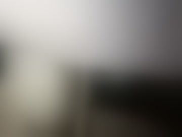 bitsfrisky008