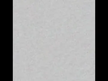 black_paradice