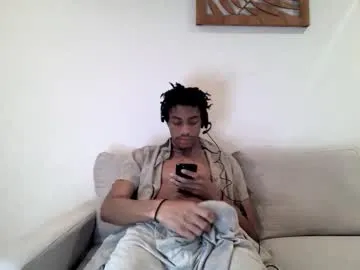 blackbulltitus