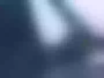 blkjester