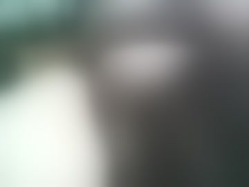 bobandkitty