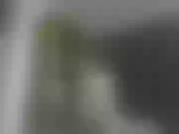 boobman12322766