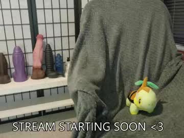 boypet_19