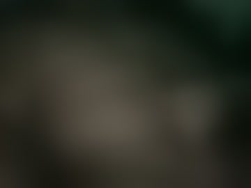 brianjah017