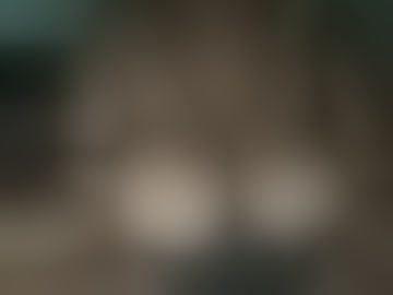 brooklynharris26