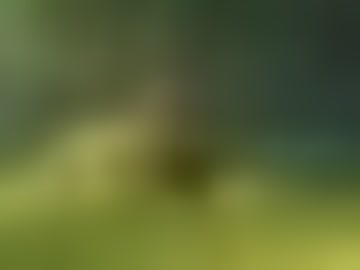 browser_test_10