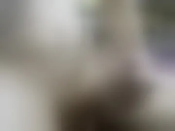 bulldogitdude