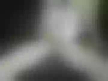 bwc2000420