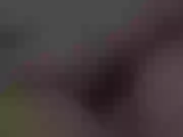 cenobitfor