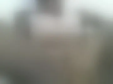 chantale483461