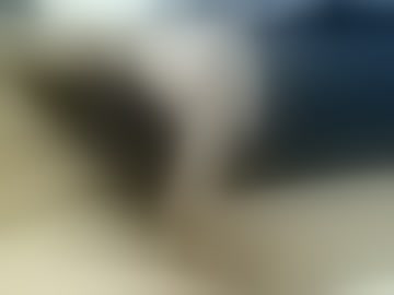 chat40