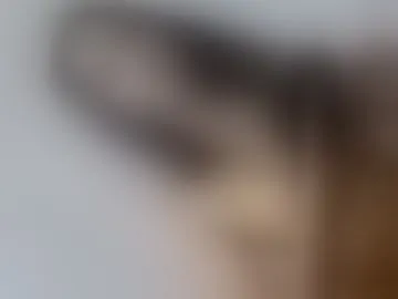 chekabols