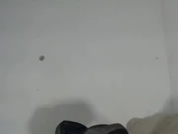 cirosky_elchicopolla