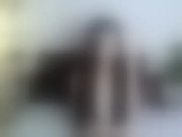 clara_malone