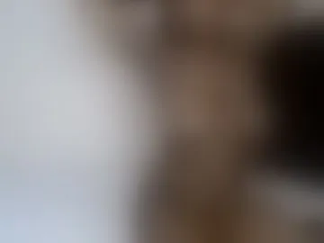cocoa_devines