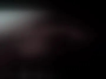 crazynutz55