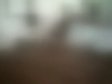 cumslutfeeder