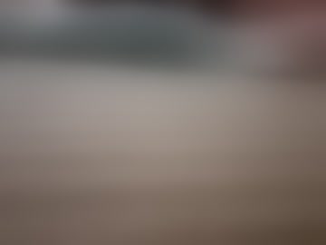 curiousvoyeur00