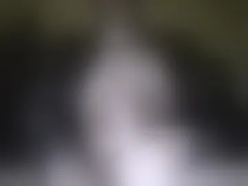 dag3rdick
