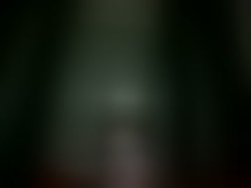 dampfhammer69